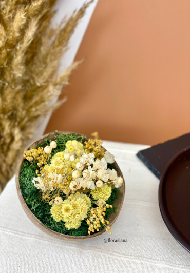 etoile de noix de coco blanchie - Autour de la fleur : Accessoires de  décoration